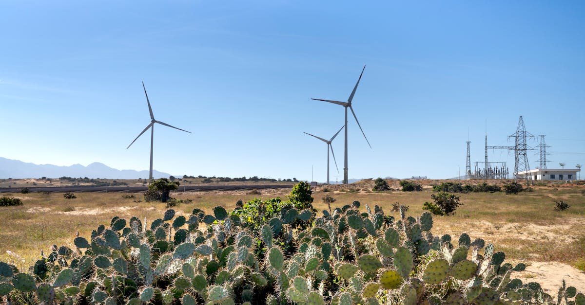 Le secteur de l'énergie : un terrain fertile pour les innovations et les investissements