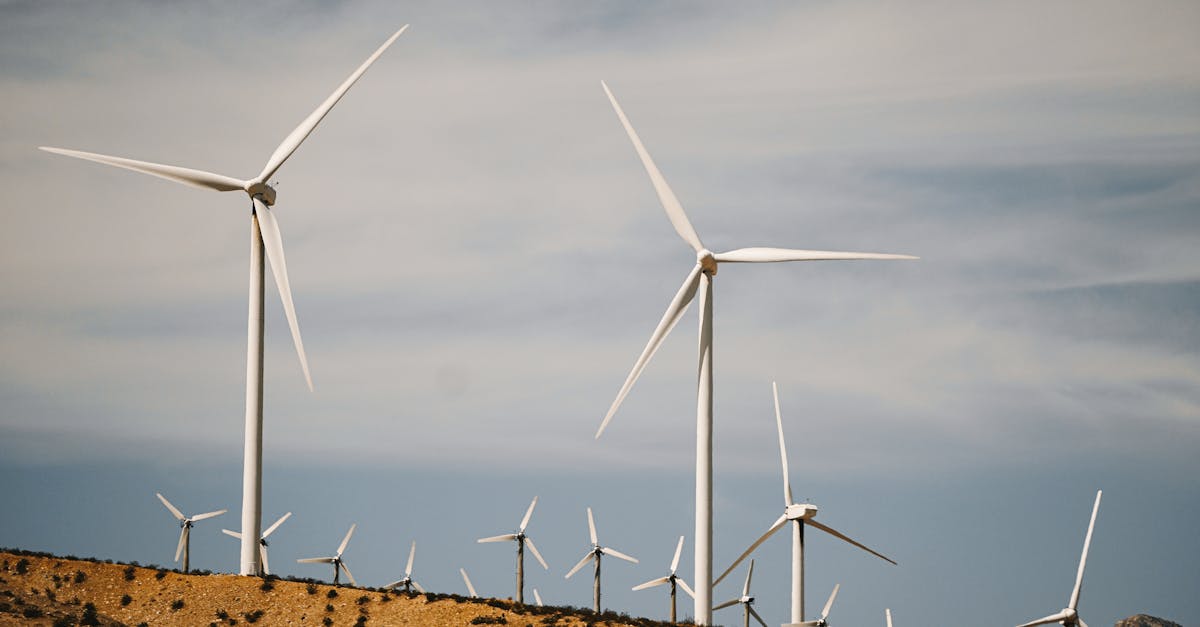 L'Énergie Verte en Afrique : Un Vent Porteur pour les Investissements Durables