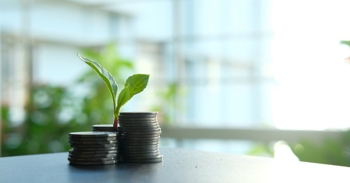 Optimiser ses Placements Long Terme avec l'IA